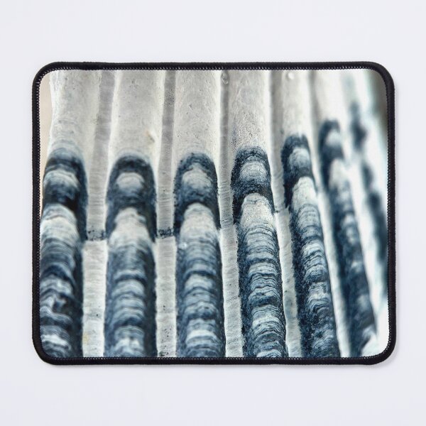 Item preview, Shell Blues designed and sold by Jason Tompkins.