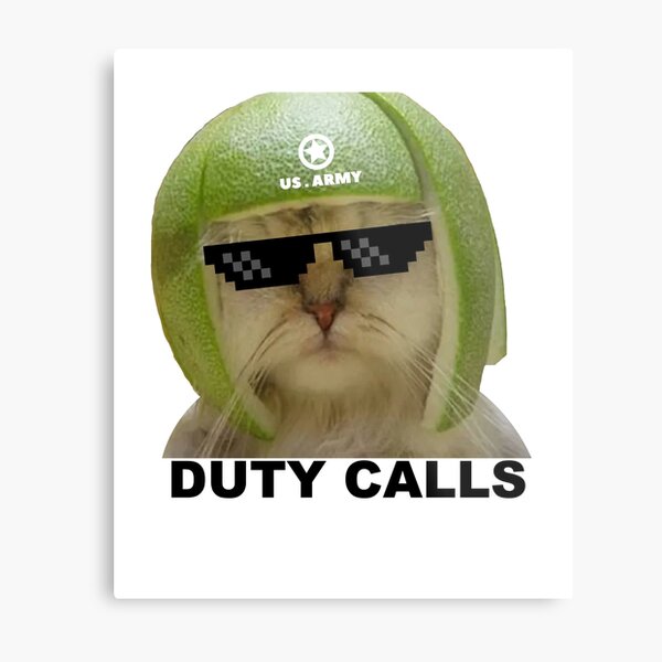 Army Cat Wall Art For Sale Redbubble