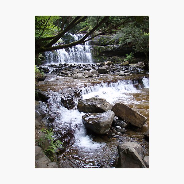 Item preview, flowing down from the Liffey Falls, Tasmania designed and sold by Gaylene Norton.
