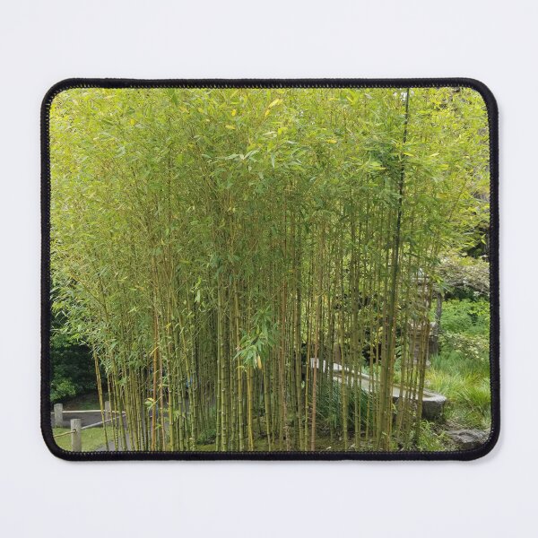 Item preview, Bamboo designed and sold by ToddDeye.