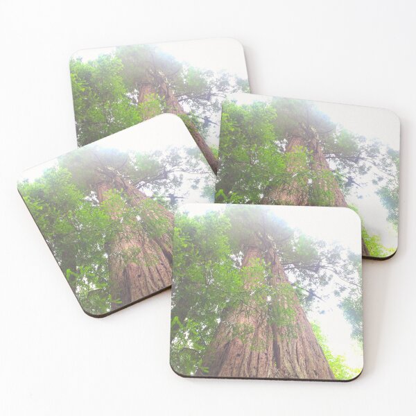Item preview, Redwood tree designed and sold by ToddDeye.