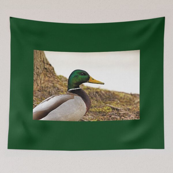 Item preview, Drake Mallard Portrait designed and sold by Debbie Oppermann.