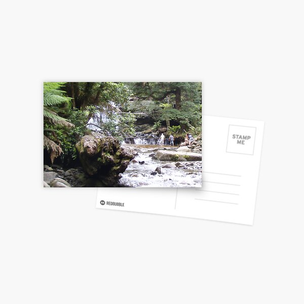 frolicking in the Liffey Falls Postcard