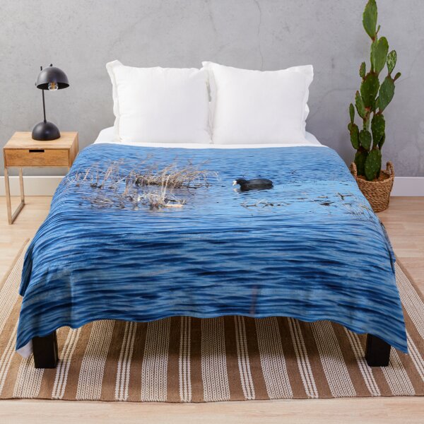 Item preview, In the search. Eurasian coot designed and sold by Jouko Lehto Photography.
