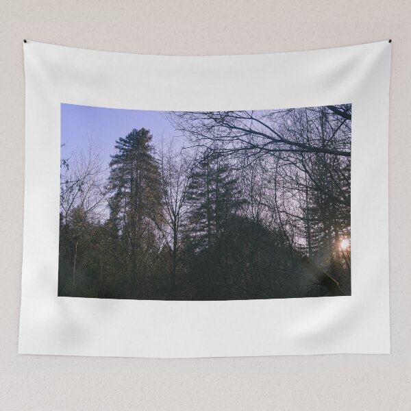Item preview, Henry Cowell Redwoods State Park, Felton, California designed and sold by Mike Kunes.