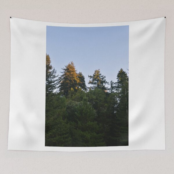 Item preview, Henry Cowell Redwoods State Park, Felton, California designed and sold by Mike Kunes.