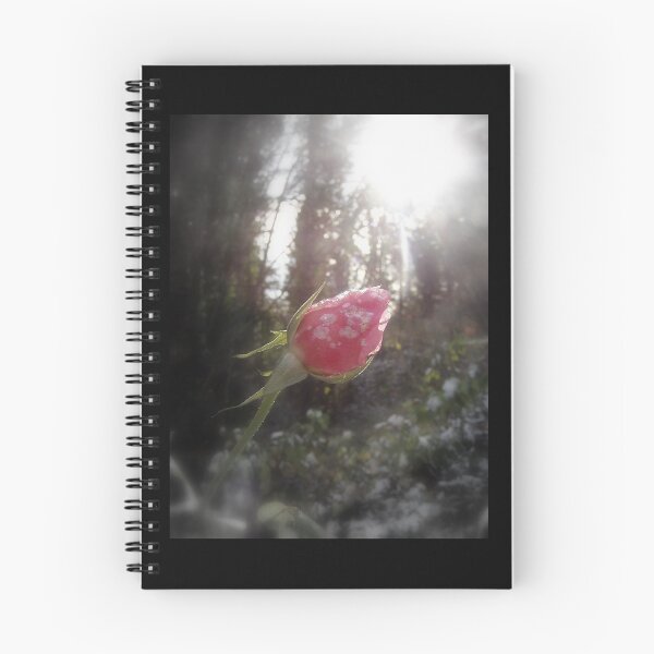 Item preview, rose in the snow designed and sold by Dawna Morton.