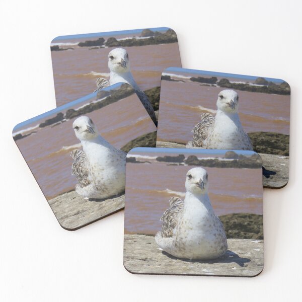 Item preview, Sitting seagull designed and sold by AHELENE.