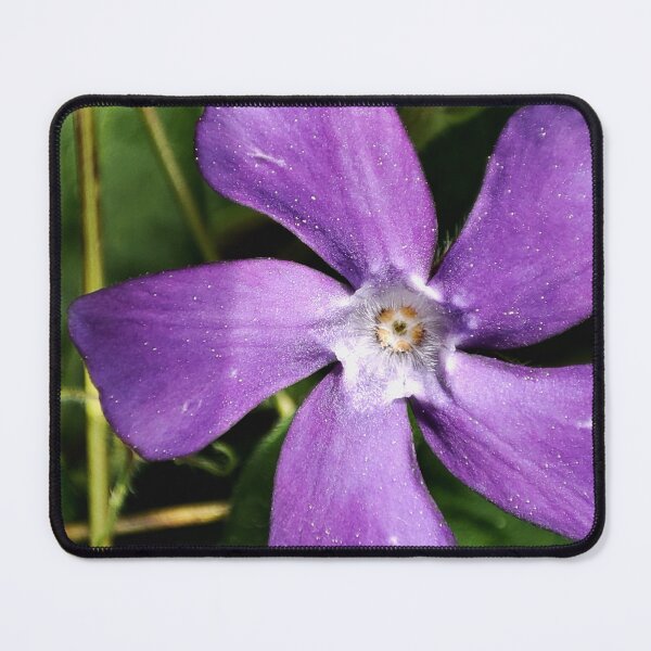 Item preview, periwinkle designed and sold by Treemonk.