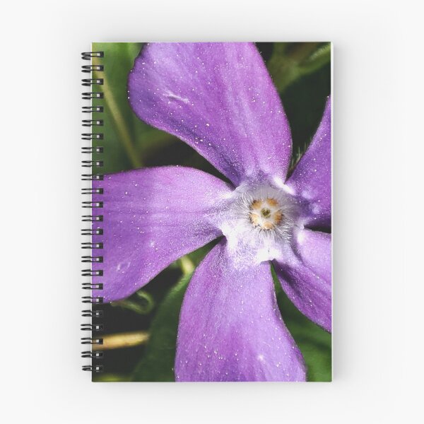 Item preview, periwinkle designed and sold by Treemonk.