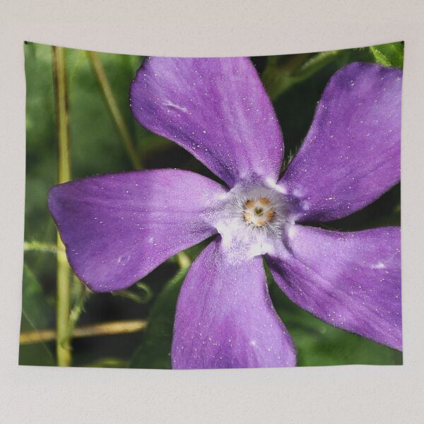 Item preview, periwinkle designed and sold by Treemonk.