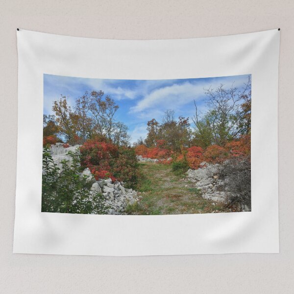 Item preview, Autumn Carso Near Aurisina designed and sold by jojobob.