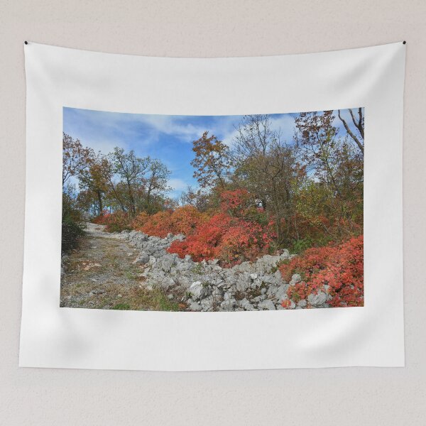 Item preview, Autumn Carso Near Aurisina designed and sold by jojobob.