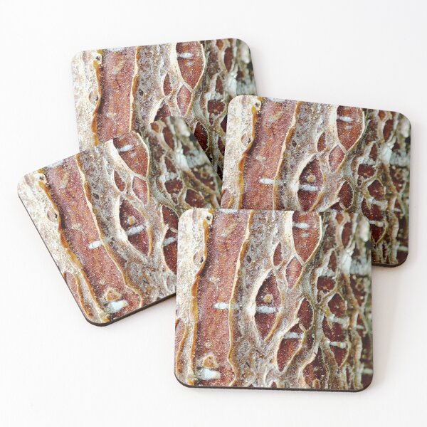 Item preview, hazelnut bark designed and sold by Treemonk.