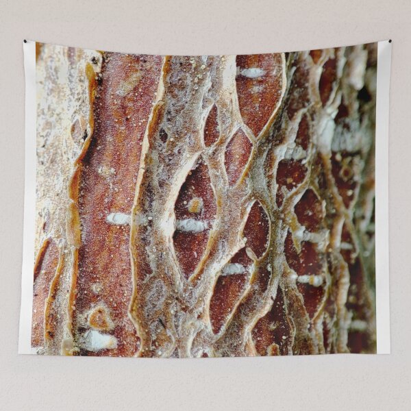 Item preview, hazelnut bark designed and sold by Treemonk.