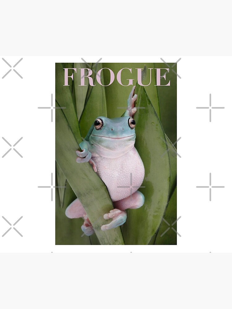 shrek froggie  Frog wallpaper, Frog pictures, Frog meme