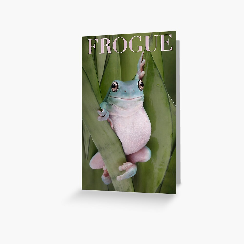 download FROGUE