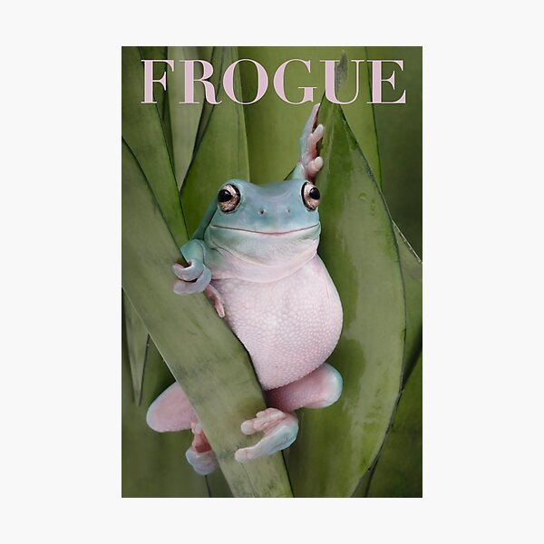 Vista previa del artículo con la obra «HQ Frogue Internet Rana sexy Meme», diseñado y vendido por fomodesigns.