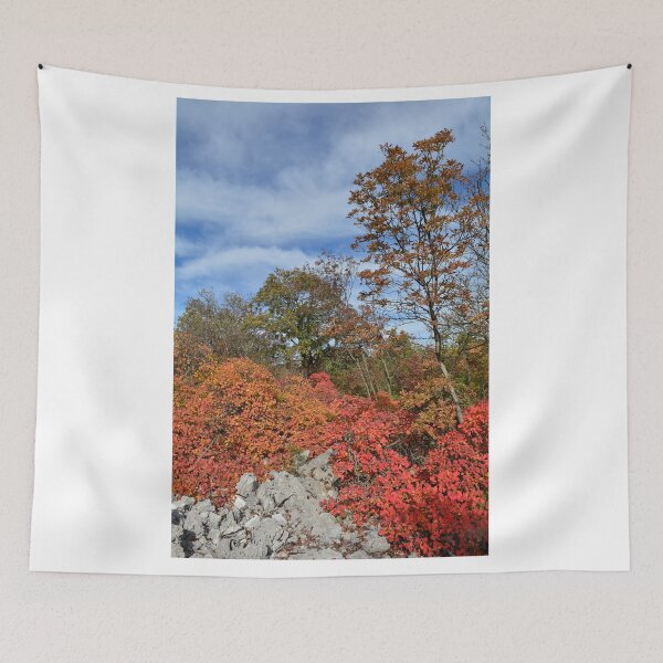 Item preview, Autumn Carso Near Aurisina  designed and sold by jojobob.