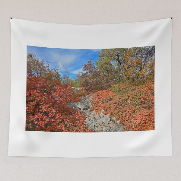 Item preview, Autumn Carso Near Aurisina  designed and sold by jojobob.