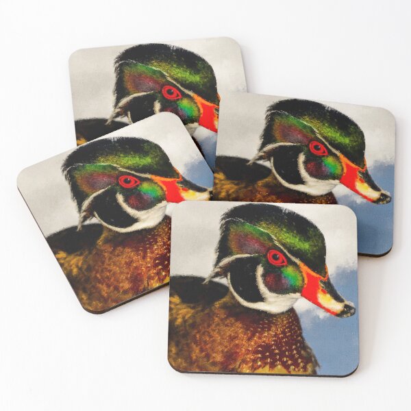 Item preview, Wood Duck, Cute Drake Wood Duck Oil Paint, North American Wood Duck, Colorful Carolina Wood Duck designed and sold by Paintcorner.