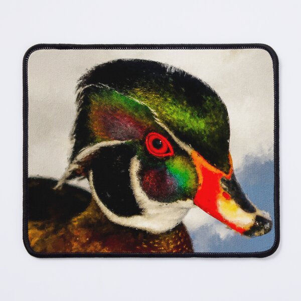 Item preview, Wood Duck, Cute Drake Wood Duck Oil Paint, North American Wood Duck, Colorful Carolina Wood Duck designed and sold by Paintcorner.