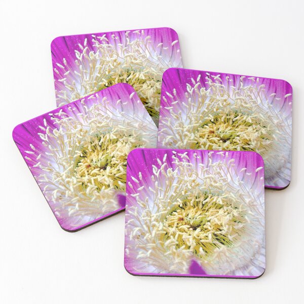 Item preview, Carpobrotus rossii pistils. designed and sold by elGatCendrer.