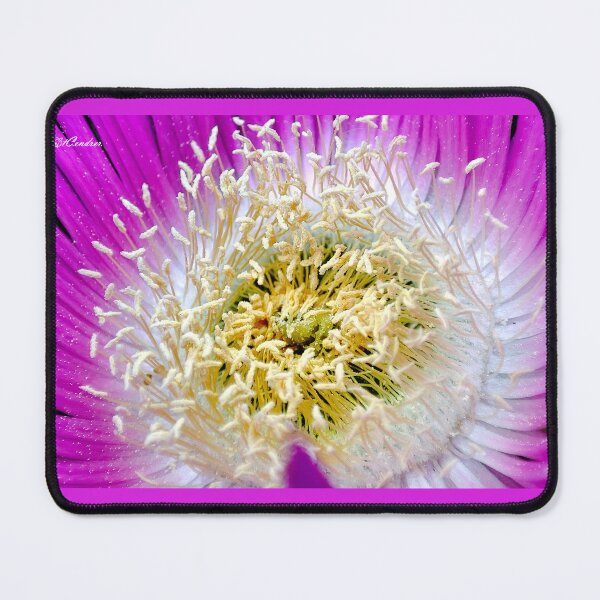 Item preview, Carpobrotus rossii pistils. designed and sold by elGatCendrer.