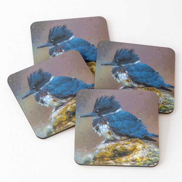 Item preview, Belted Kingfisher Lancashire, Megaceryle Alcyon Oil paint, North American belted kingfisher, Cute Belted Kingfisher UK designed and sold by Paintcorner.