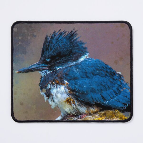Item preview, Belted Kingfisher Lancashire, Megaceryle Alcyon Oil paint, North American belted kingfisher, Cute Belted Kingfisher UK designed and sold by Paintcorner.
