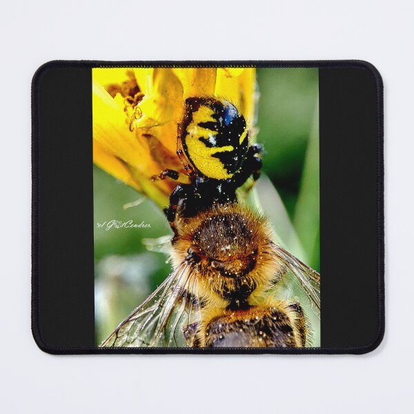Item preview, Napoleon's meal or Synema globosum. designed and sold by elGatCendrer.