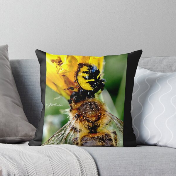 Item preview, Napoleon's meal or Synema globosum. designed and sold by elGatCendrer.