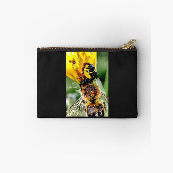 Item preview, Napoleon's meal or Synema globosum. designed and sold by elGatCendrer.