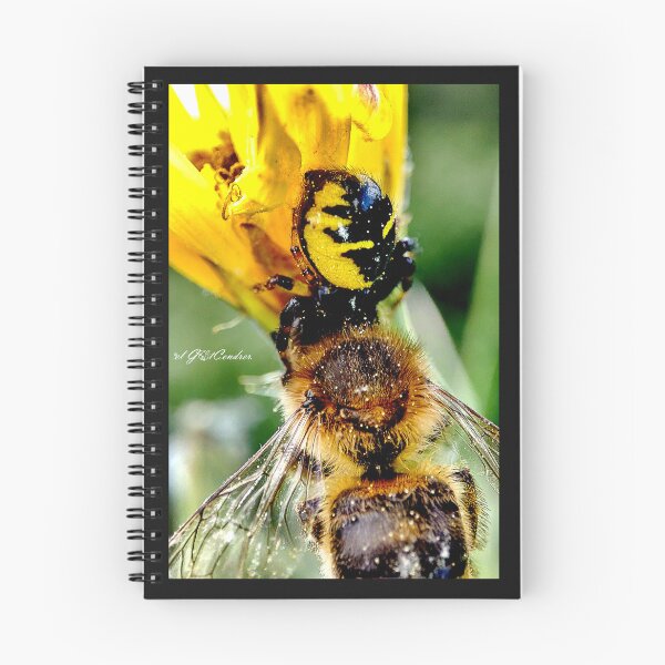 Item preview, Napoleon's meal or Synema globosum. designed and sold by elGatCendrer.