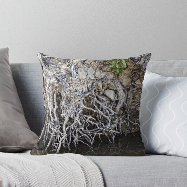Item preview, Roots designed and sold by Wolf Sverak Photography.