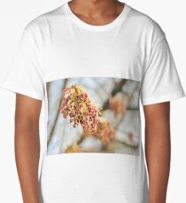 Young tree seeds. Long T-Shirt