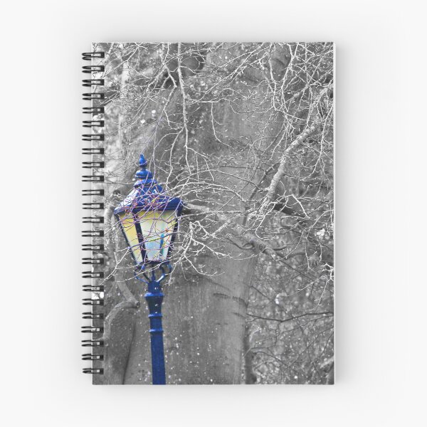 Item preview, Blue Lantern designed and sold by SJHorsfall.