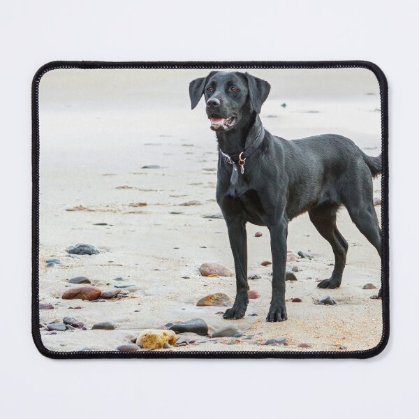 Item preview, Black Labrador dog on the beach designed and sold by HaleyRedshaw.