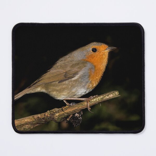 Item preview, Little cute red robin bird designed and sold by HaleyRedshaw.