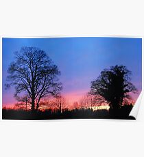 Cool blue Poster