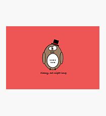 Classy owl Photographic Print