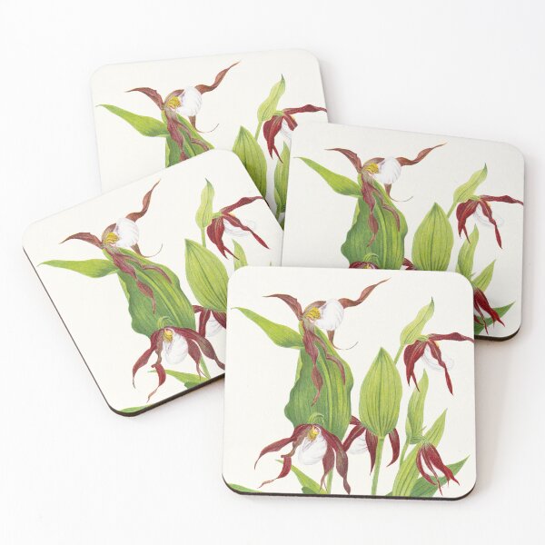 Item preview, Cypripedium montanum - Botanical Illustration designed and sold by chimakingthings.