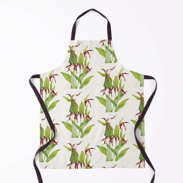 Item preview, Cypripedium montanum - Botanical Illustration designed and sold by chimakingthings.