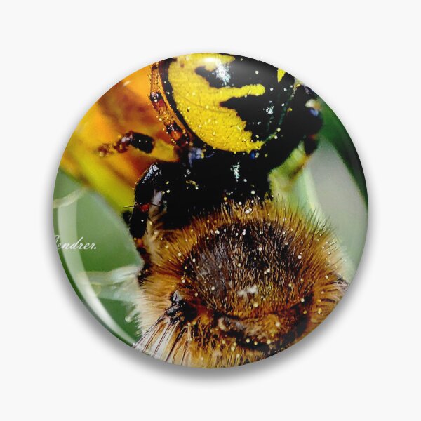 Item preview, Napoleon's meal or Synema globosum. designed and sold by elGatCendrer.