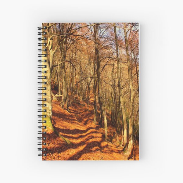 Aperçu de l'œuvre Foret ariegeoise créée et vendue par AHELENE.