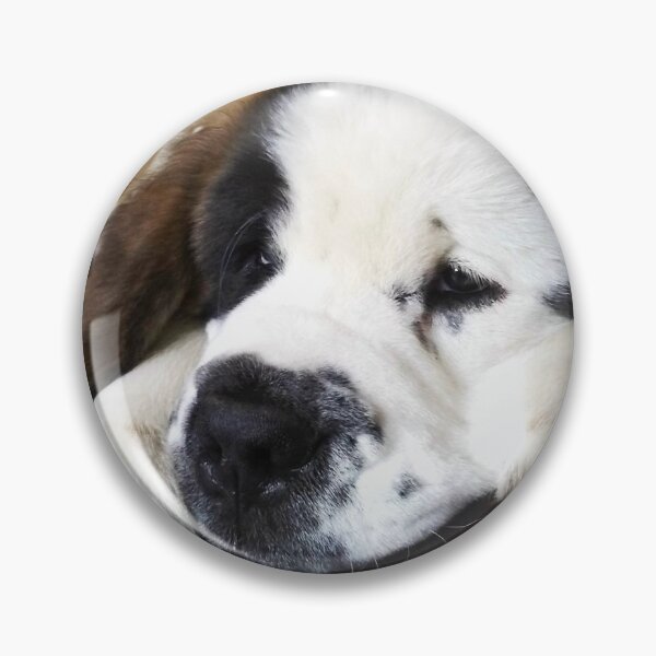 Item preview, Beautiful Saint Bernard puppy relaxing designed and sold by HaleyRedshaw.