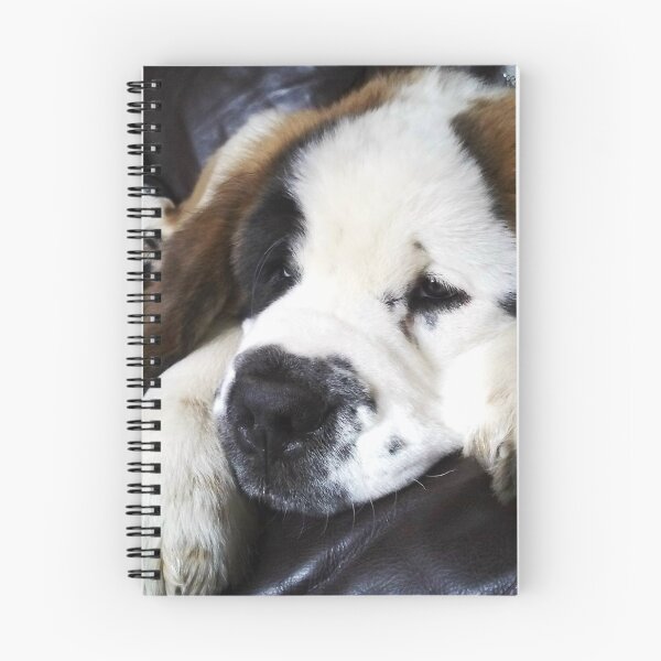 Item preview, Beautiful Saint Bernard puppy relaxing designed and sold by HaleyRedshaw.