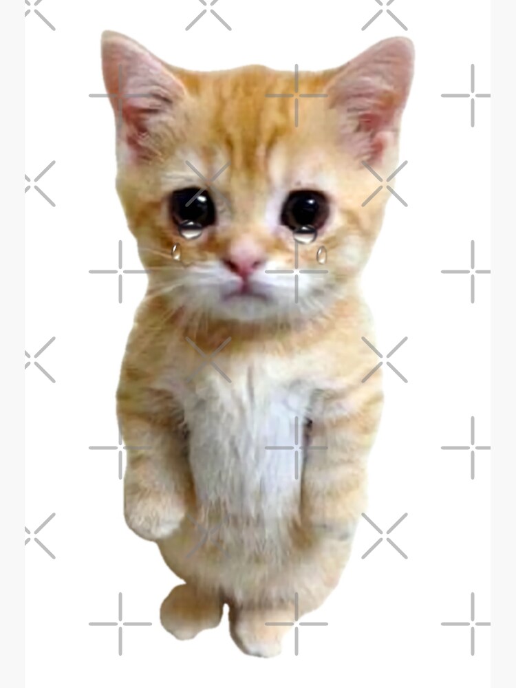 Hq Sad Crying Cat Standing Up Meme Art Board Print For Sale By Fomodesigns Redbubble