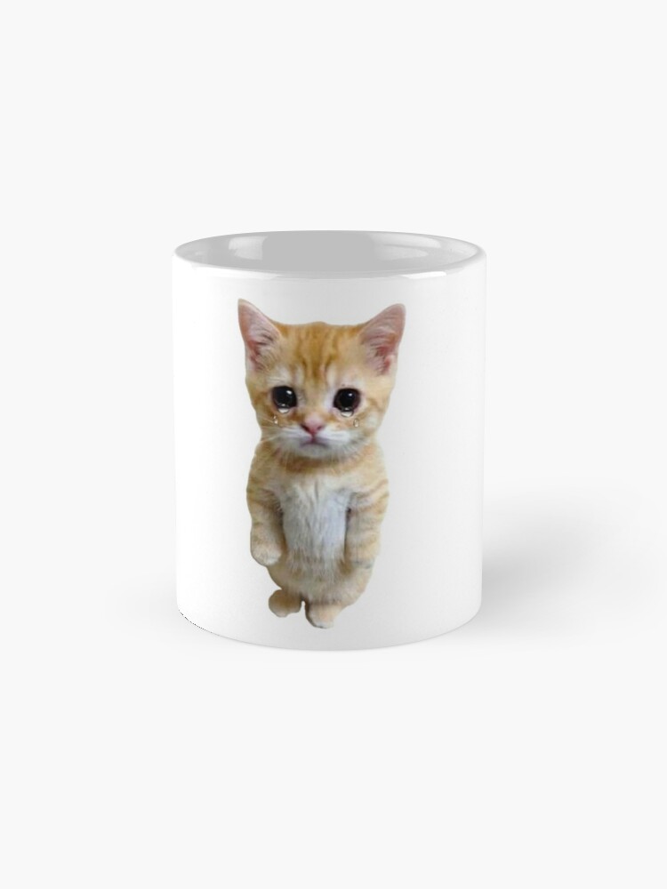 HQ Sad Crying Cat Standing Up Meme Photographic Print for Sale by  fomodesigns