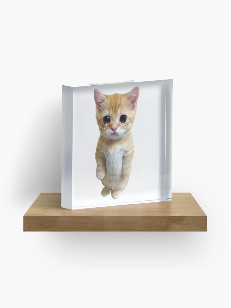 HQ Sad Crying Cat Standing Up Meme Photographic Print for Sale by  fomodesigns